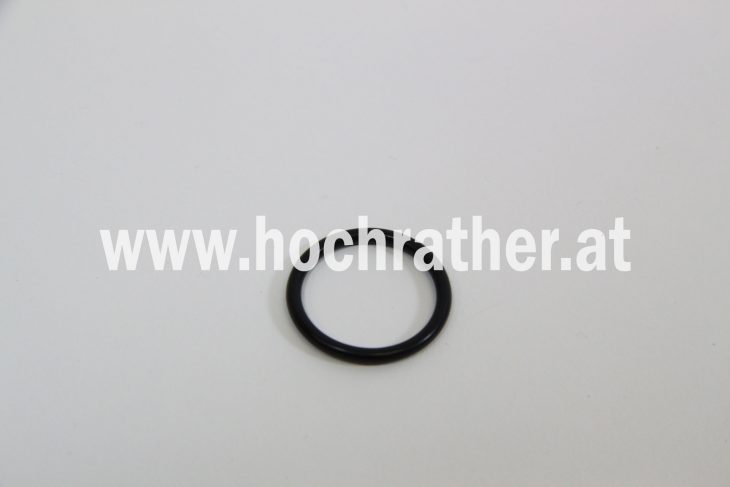 O-Ring (0002159220) [Cla]