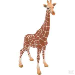 Giraffe, Kuh (14750Sch) Kramp