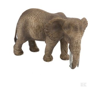 Afrikanischer Elefant, Kuh (14761Sch) Kramp