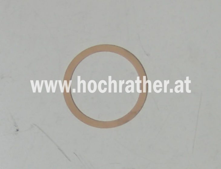 Dichtring Zellvulkolan  60  X (23246103) Horsch